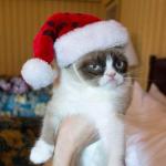 Create Grumpy Cat Christmas Meme